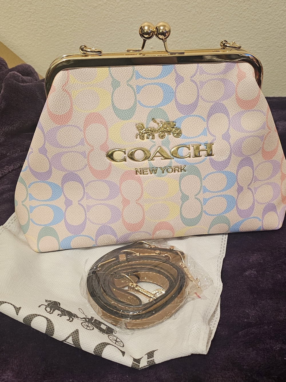 Multicolor Pastel Kiss-Lock Clutch - Pink, Blue, Yellow, Purple